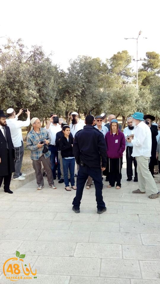 aqsa iqte7am (6).jpg